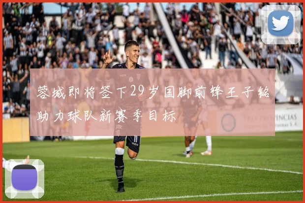 蓉城即将签下29岁国脚前锋王子铭助力球队新赛季目标