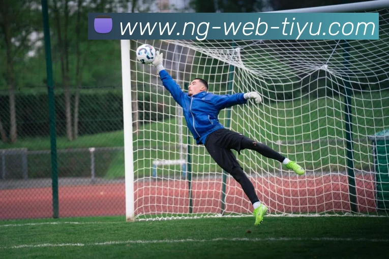 App Interface Preview